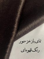 خز سمور - تصویر 2